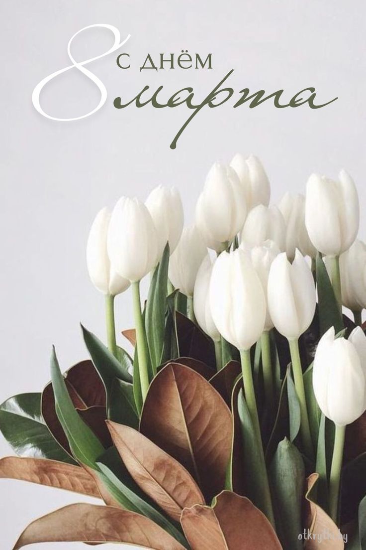 Поздравление с 8 марта
